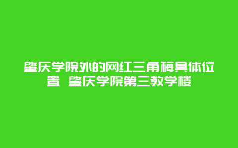 肇慶學(xué)院外的網(wǎng)紅三角梅具體位置 肇慶學(xué)院第三教學(xué)樓