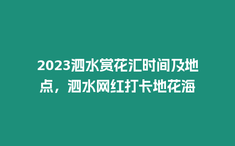 2023泗水賞花匯時間及地點，泗水網紅打卡地花海