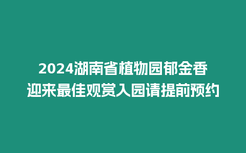 2024湖南省植物園郁金香迎來最佳觀賞入園請提前預約