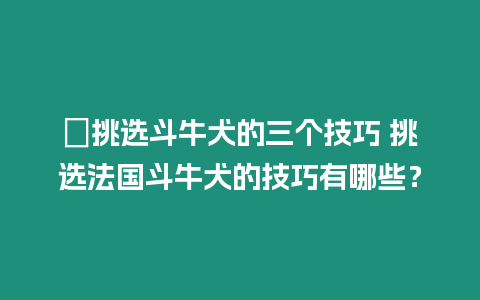 ?挑選斗牛犬的三個技巧 挑選法國斗牛犬的技巧有哪些？