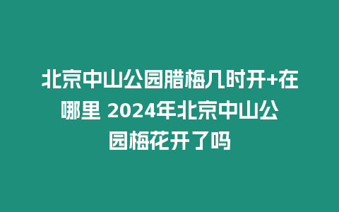 北京中山公園臘梅幾時開+在哪里 2024年北京中山公園梅花開了嗎