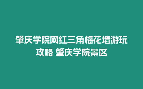 肇慶學院網紅三角梅花墻游玩攻略 肇慶學院景區