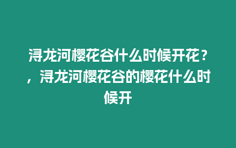 潯龍河櫻花谷什么時候開花？，潯龍河櫻花谷的櫻花什么時候開