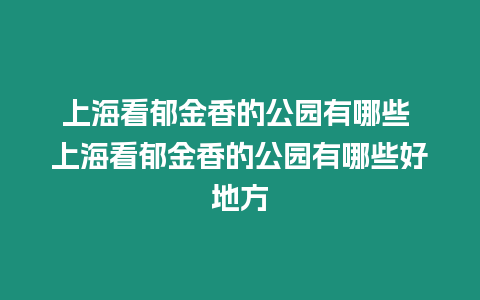 上海看郁金香的公園有哪些 上海看郁金香的公園有哪些好地方