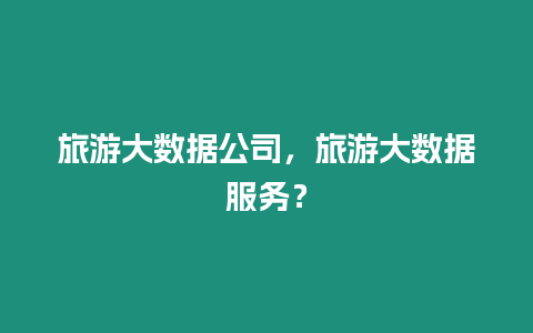 旅游大數據公司，旅游大數據服務？