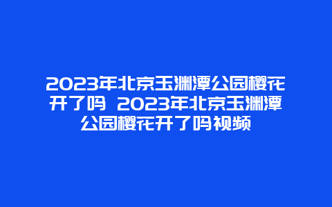 2024年北京玉淵潭公園櫻花開了嗎 2024年北京玉淵潭公園櫻花開了嗎視頻