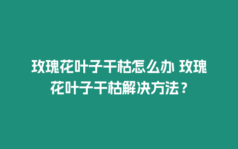 玫瑰花葉子干枯怎么辦 玫瑰花葉子干枯解決方法？