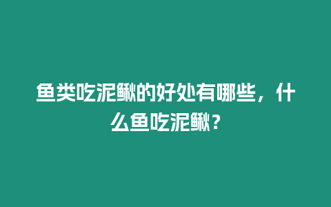 魚類吃泥鰍的好處有哪些，什么魚吃泥鰍？