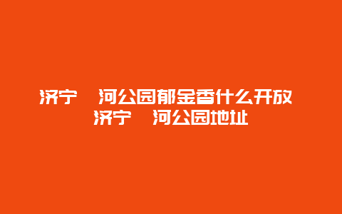 濟寧蓼河公園郁金香什么開放 濟寧蓼河公園地址