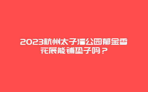 2024杭州太子灣公園郁金香花展能鋪墊子嗎？