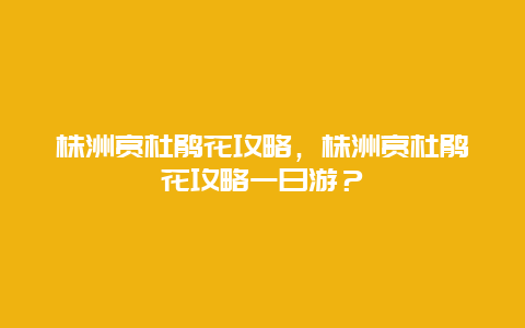 株洲賞杜鵑花攻略，株洲賞杜鵑花攻略一日游？