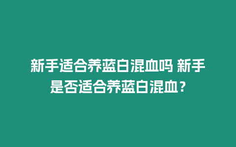 新手適合養藍白混血嗎 新手是否適合養藍白混血？