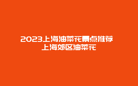 2024上海油菜花景點推薦 上海郊區油菜花