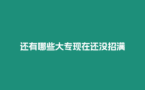 還有哪些大專現在還沒招滿