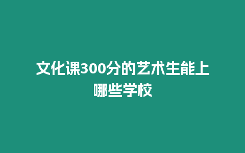 文化課300分的藝術生能上哪些學校