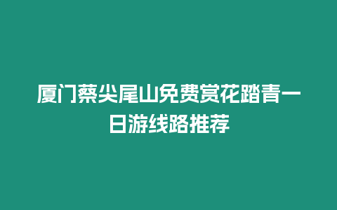 廈門蔡尖尾山免費賞花踏青一日游線路推薦