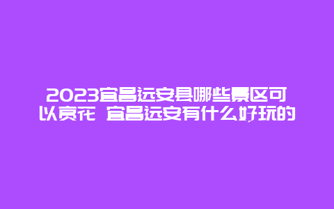 2024宜昌遠安縣哪些景區可以賞花 宜昌遠安有什么好玩的