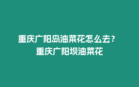 重慶廣陽島油菜花怎么去？ 重慶廣陽壩油菜花