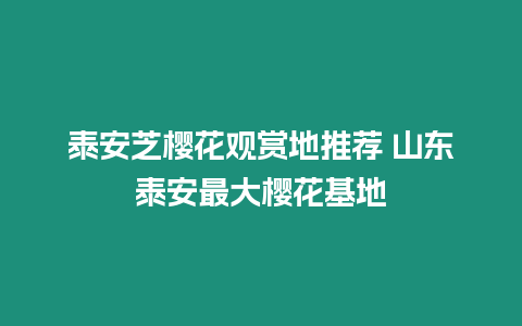 泰安芝櫻花觀賞地推薦 山東泰安最大櫻花基地