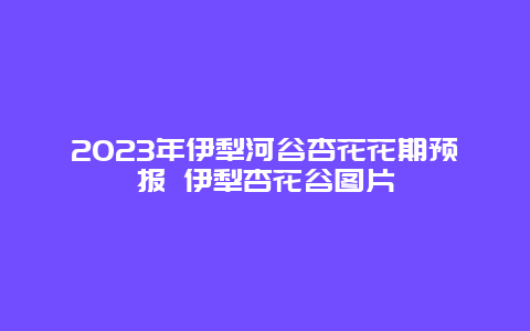 2023年伊犁河谷杏花花期預(yù)報(bào) 伊犁杏花谷圖片