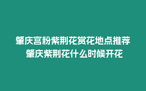 肇慶宮粉紫荊花賞花地點推薦 肇慶紫荊花什么時候開花