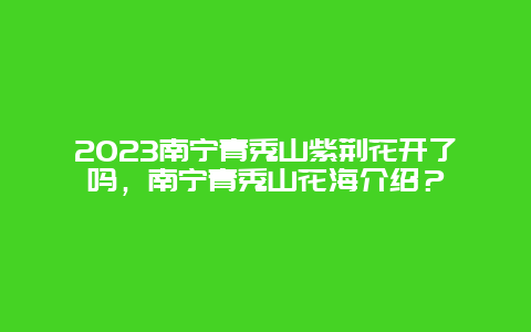 2024南寧青秀山紫荊花開了嗎，南寧青秀山花海介紹？