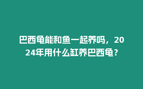 巴西龜能和魚一起養(yǎng)嗎，2024年用什么缸養(yǎng)巴西龜？