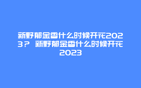 新野郁金香什么時候開花2024？ 新野郁金香什么時候開花2024