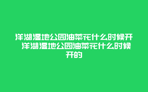 洋湖濕地公園油菜花什么時候開 洋湖濕地公園油菜花什么時候開的