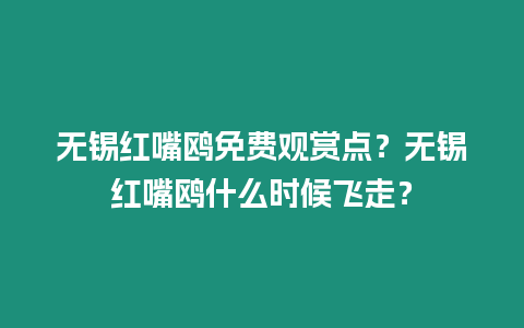 無錫紅嘴鷗免費觀賞點？無錫紅嘴鷗什么時候飛走？