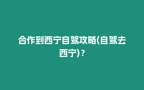 合作到西寧自駕攻略(自駕去西寧)？