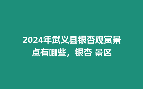 2024年武義縣銀杏觀賞景點有哪些，銀杏 景區