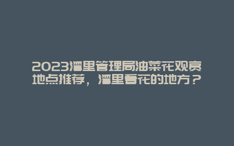 2024灣里管理局油菜花觀賞地點推薦，灣里看花的地方？