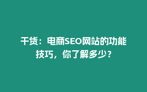 干貨：電商SEO網站的功能技巧，你了解多少？