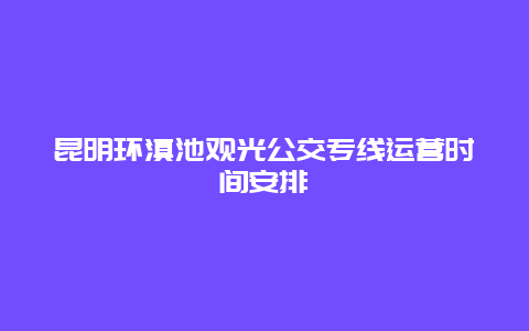 昆明環滇池觀光公交專線運營時間安排