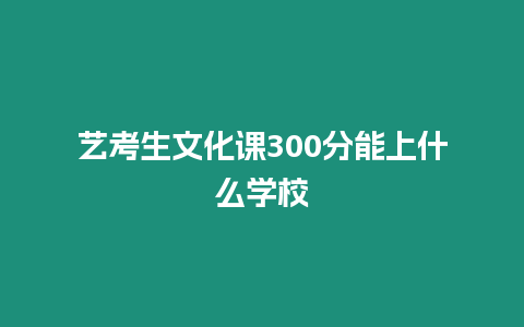 藝考生文化課300分能上什么學校