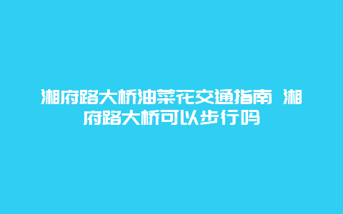 湘府路大橋油菜花交通指南 湘府路大橋可以步行嗎