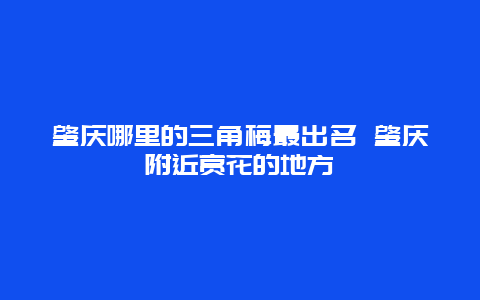 肇慶哪里的三角梅最出名 肇慶附近賞花的地方