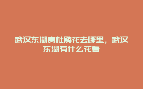 武漢東湖賞杜鵑花去哪里，武漢東湖有什么花看