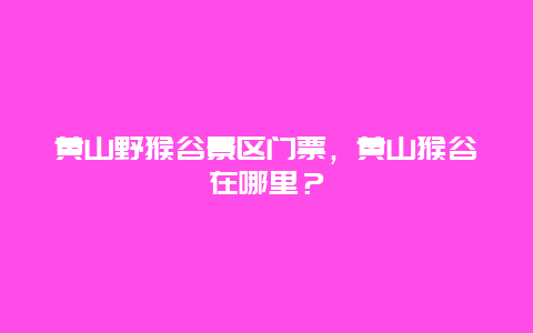 黃山野猴谷景區門票，黃山猴谷在哪里？