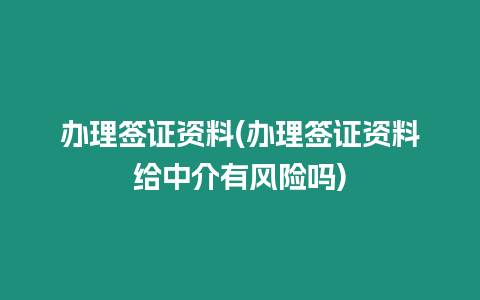 辦理簽證資料(辦理簽證資料給中介有風險嗎)