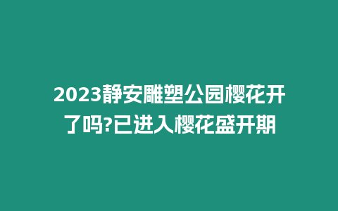 2023靜安雕塑公園櫻花開了嗎?已進入櫻花盛開期