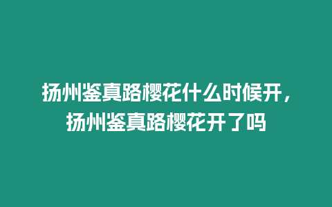 揚州鑒真路櫻花什么時候開，揚州鑒真路櫻花開了嗎