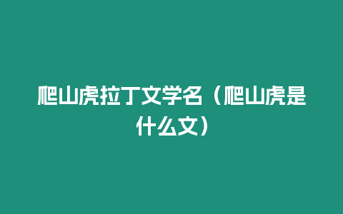 爬山虎拉丁文學名（爬山虎是什么文）