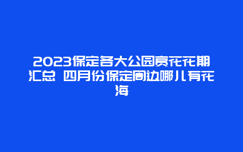 2024保定各大公園賞花花期匯總 四月份保定周邊哪兒有花海