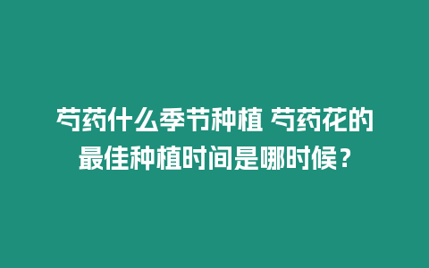 芍藥什么季節種植 芍藥花的最佳種植時間是哪時候？