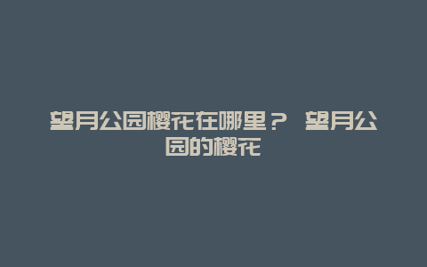 望月公園櫻花在哪里？ 望月公園的櫻花