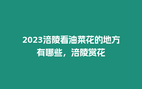 2023涪陵看油菜花的地方有哪些，涪陵賞花