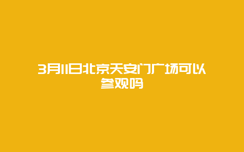 3月11日北京天安門廣場可以參觀嗎