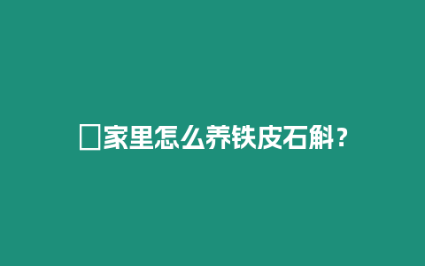 ?家里怎么養鐵皮石斛？